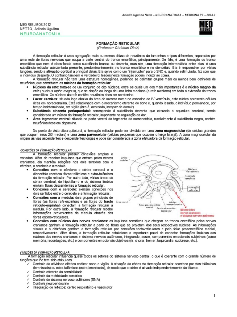 Formação Reticular: Funções e Conexões | PDF | Cerebelo | Nervo