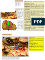 LP%2020%20FICATUL.pdf