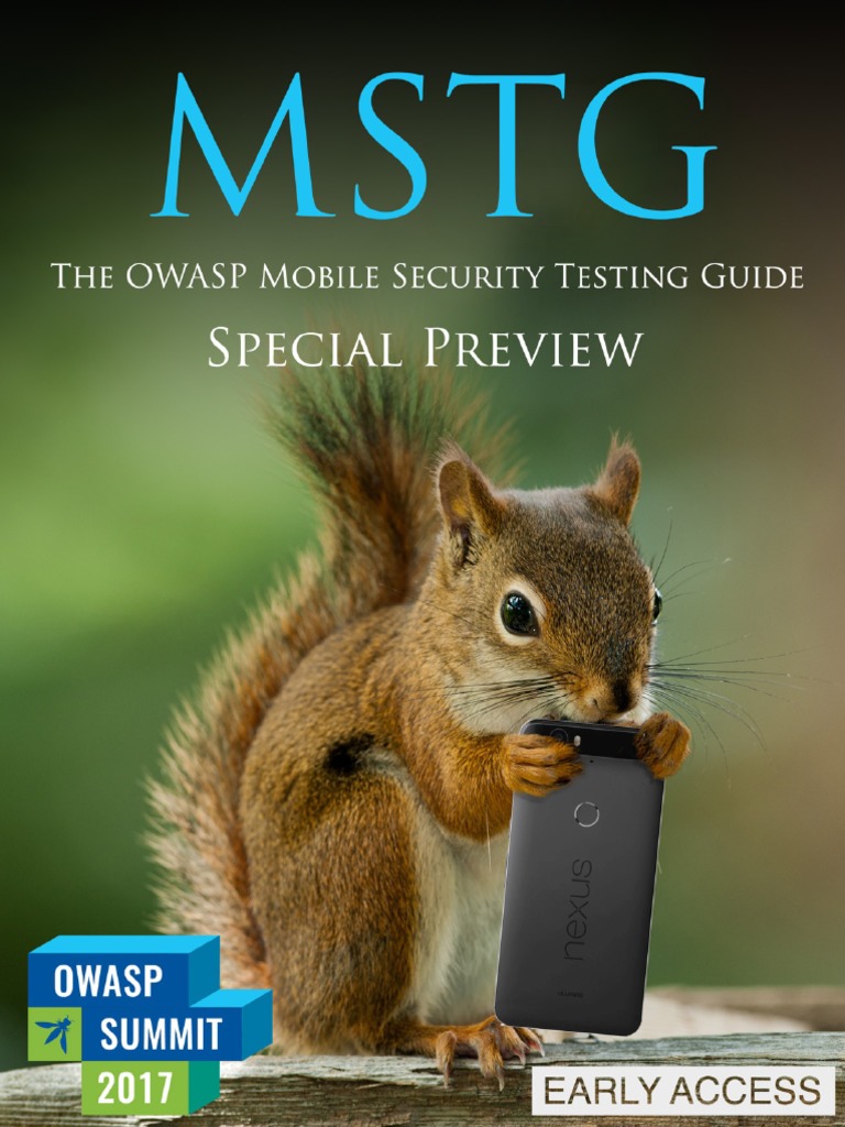 Mobile Security Testing Guide Preview Pdf Cryptography Public Key