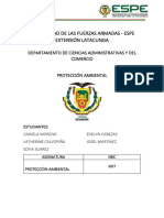 Proteccion Ambiental-Informe de Siembra de Arboles