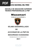 Accionar de La Pnp en La Seguridad Ciudadana