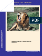 Selection Focus Transparency: What Characteristics Do You Associate With Lions?