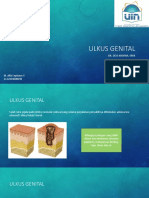 Ulkus Genital