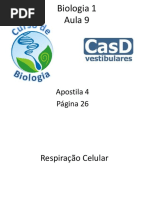aula9casdvestrespiraocelular-130508152329-phpapp02