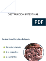 Obstruccion Intestinal Expo