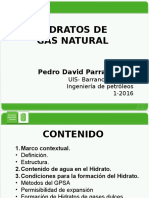 HIDRATOS DE GAS PARRA.pptx