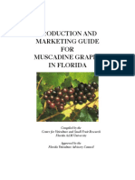 FAMU_Viticulture_Production Guide for Muscadines(3)