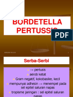 Bordetella Pertussis