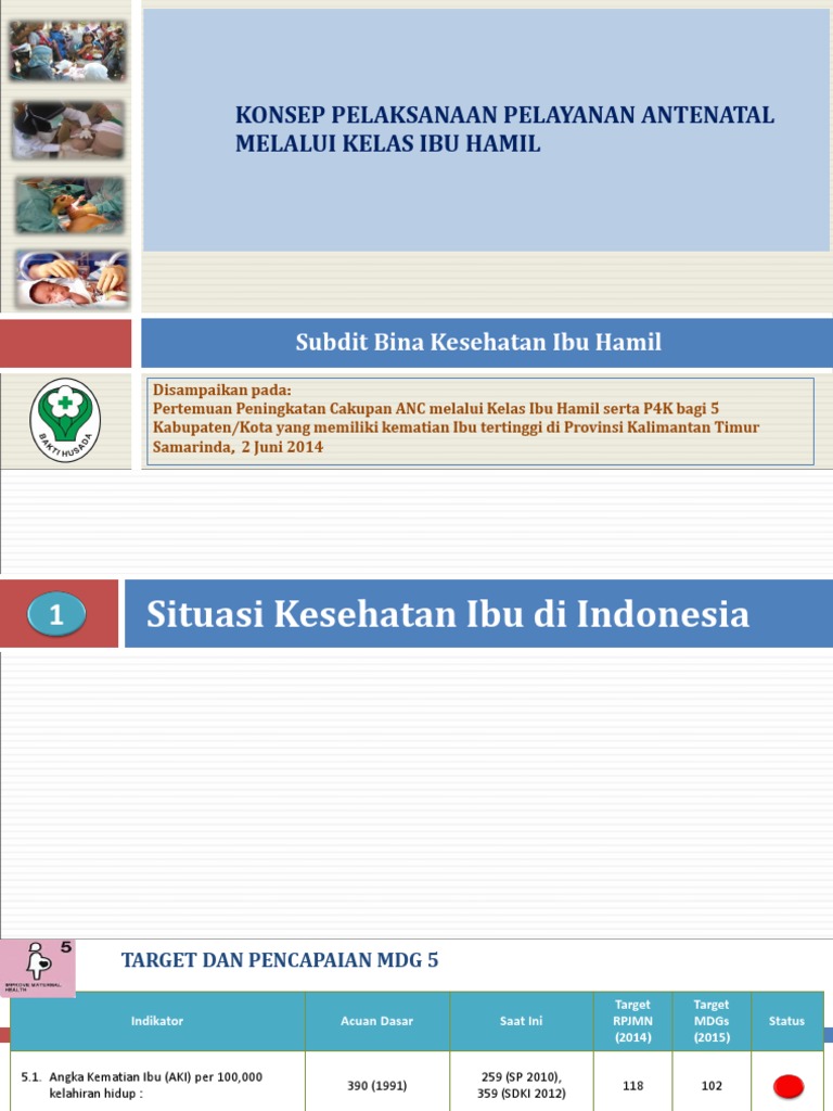 Paparan Konsep Pelaksanaan ANC Terpadu Di Kelas Ibu Hamil