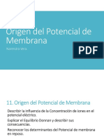 004 Origen Del Potencial de Membrana