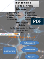 KEL4 Sistem Somatik 1 (Insra Taktil Dan Posisi)