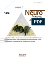 05-Neuroforum