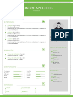 Plantilla Curriculum Vitae 5