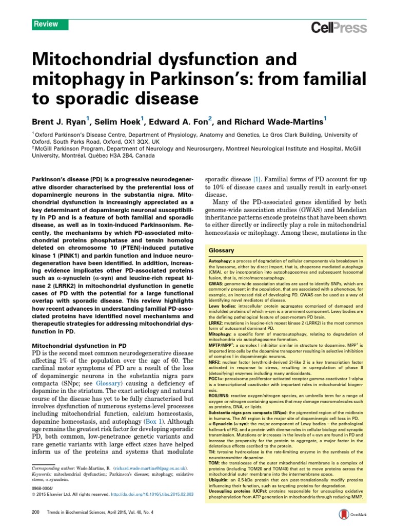 Mitochondrial Dysfunction and Mitophagy in Parkinson's: From Familial ...