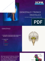 Diencefalo y Tronco Encefalico