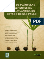 Guia Plantulas (Nãotemdormência)