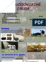 Producción Leche Cruda