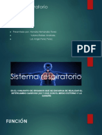 Sistema Respiratorio para Respirar Todo Lo Respirable. TODO CABE POR LA NARIZ