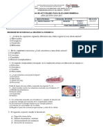 Actividades para El Examen Remedial