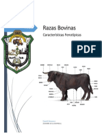Introducción Razas bovinas.docx
