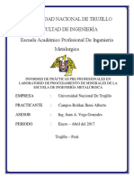 Informe de Practicas Pre Profesionales Facultad de Ingeniería Metalúrgica UNT