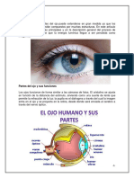 EL OJO Funciones y Partes