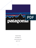 Patagonia Excerpt PDF