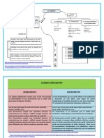 Cuadro Comparativo