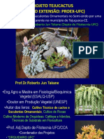 22_10_2013_-_Mesa_Redonda_-_Projeto_Tejucactus_-_Roberto_Jun_Takane.pdf