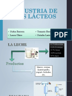 PRODUCCIÓN-DE-LÁCTEOS.pptx