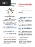 4 Rosario Por Los No Nacidos