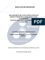 1 Dissertacao Transportecontaminantesmeios_desb