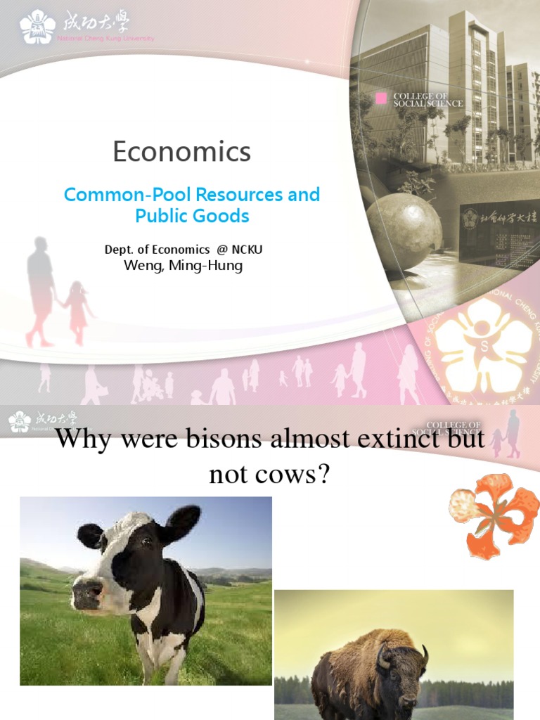 Common Pool Resources vs Public Goods | PDF | Public Good | Economies