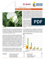 Arveja Colombia PDF