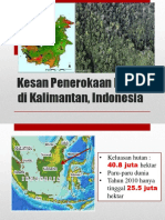 Kesan Penerokaan Hutan Di Kalimantan, Indonesia