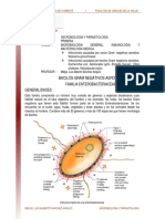 Bacilos Gram Negativos Aerobios Lectura PDF