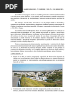Impacto Ambiental Del Puente de Chilina