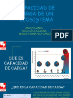 Capacidad de Carga