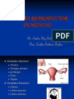 Aparato Reproductor Femenino