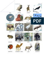 cartonase-animale.pdf