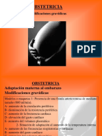 02 - Modificaciones Gravídicas