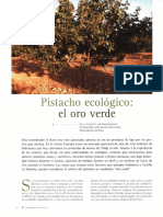 Cultivo Pistachero 2008