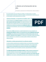 Espinacas y Su Efecto en La Formación de Los Cálculos Renales