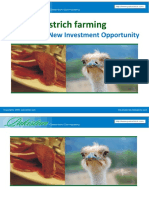 11-Ostrich Farming A Promising New Investment Opportunity.pdf