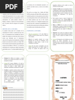 Triptico - La Guitarra