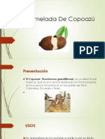 Mermelada de Copoazú