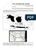 01-regiones_del_exterior_del_bovino.pdf