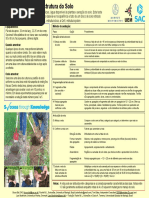 Avaliação visual da estrutura do solo.pdf