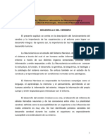 DESARROLLO DEL CEREBRO CORREGIDO.pdf