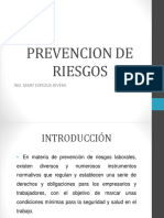 Prevencion de Riesgos